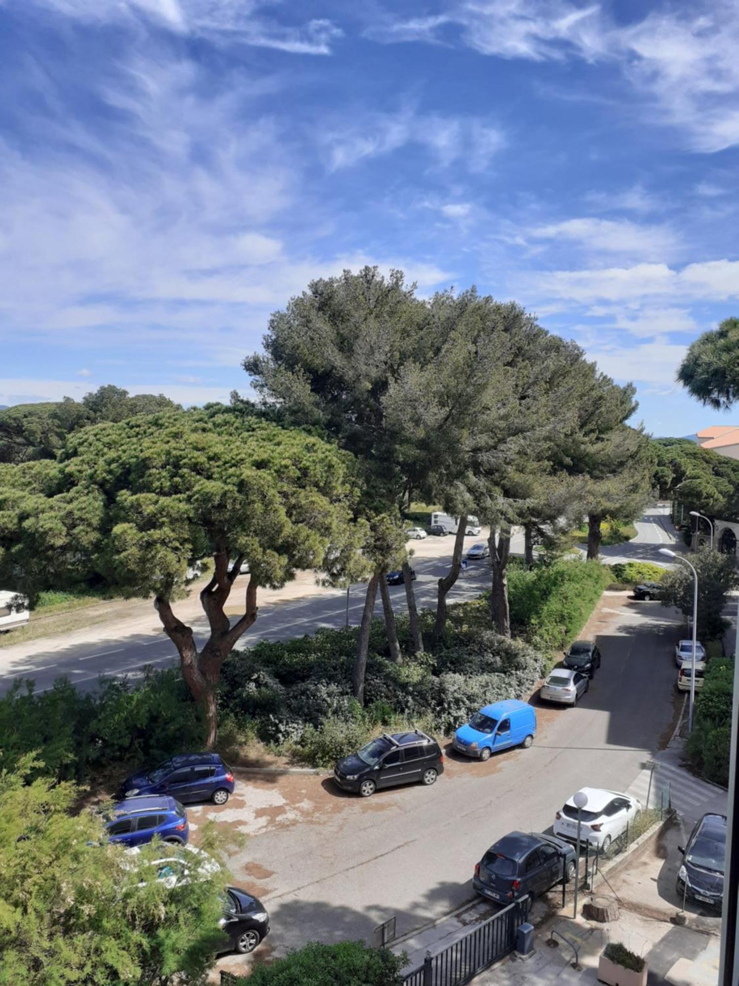 Studio Hyeres Port Et Iles D'Or. Extérieur photo